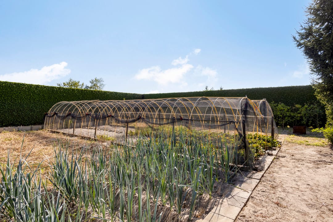 Foto 113 van Van Rijckevorselweg 2