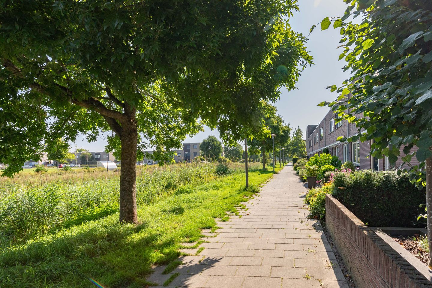 Foto 40 van Sloep 21