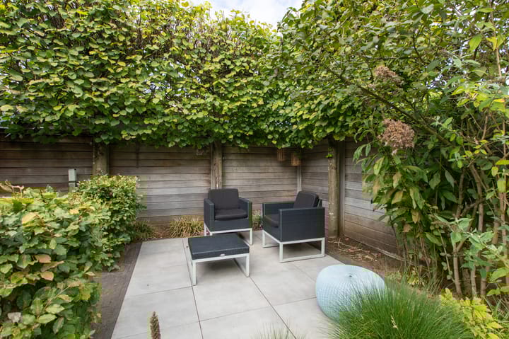 Foto 40 van Rietvoorn 4