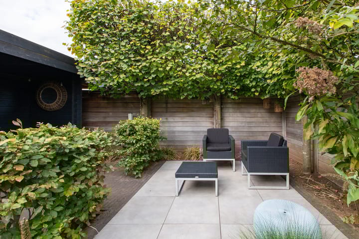 Foto 41 van Rietvoorn 4