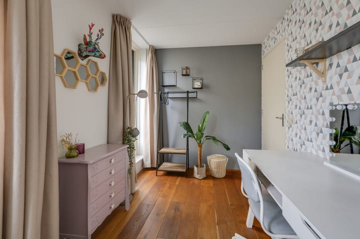 Foto 50 van Rietvoorn 4