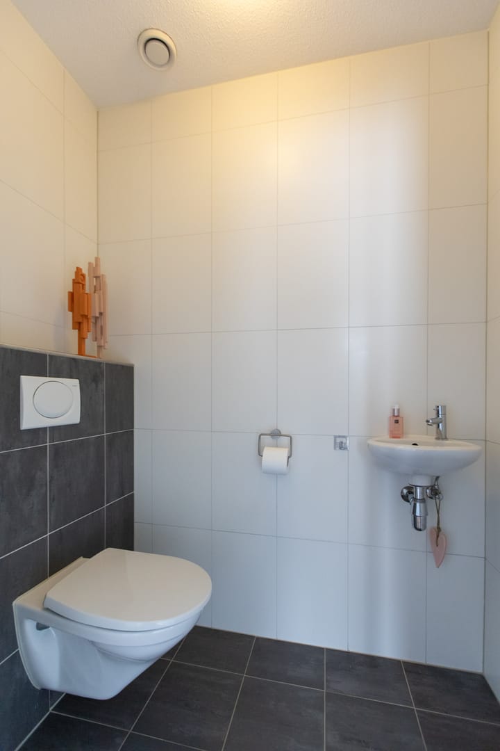 Foto 55 van Rietvoorn 4