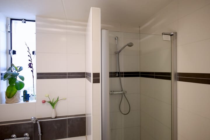 Foto 58 van Rietvoorn 4