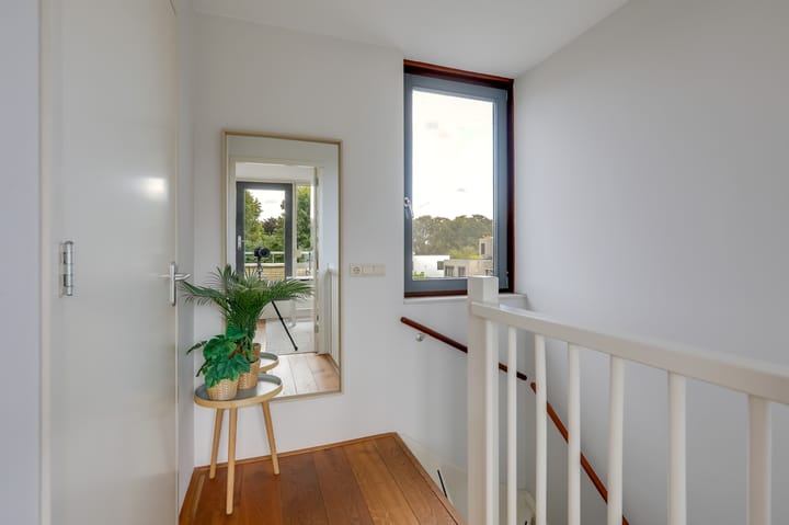 Foto 59 van Rietvoorn 4