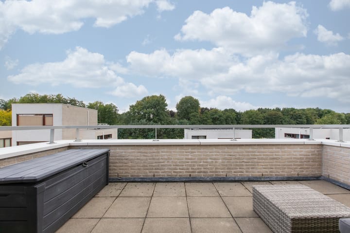 Foto 65 van Rietvoorn 4