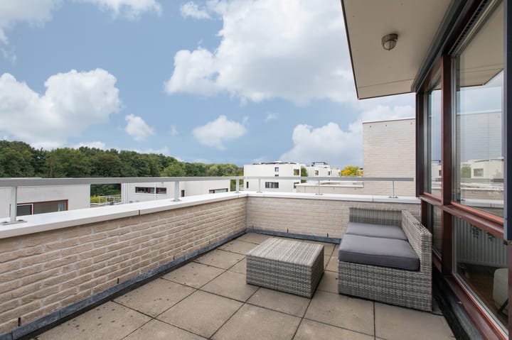 Foto 66 van Rietvoorn 4