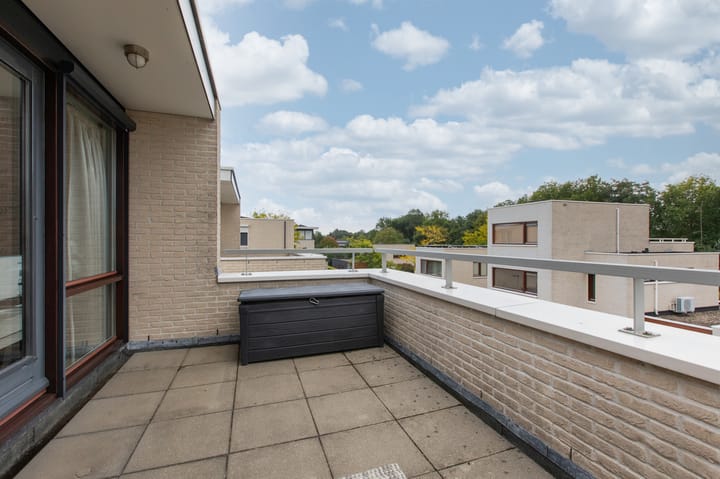 Foto 67 van Rietvoorn 4