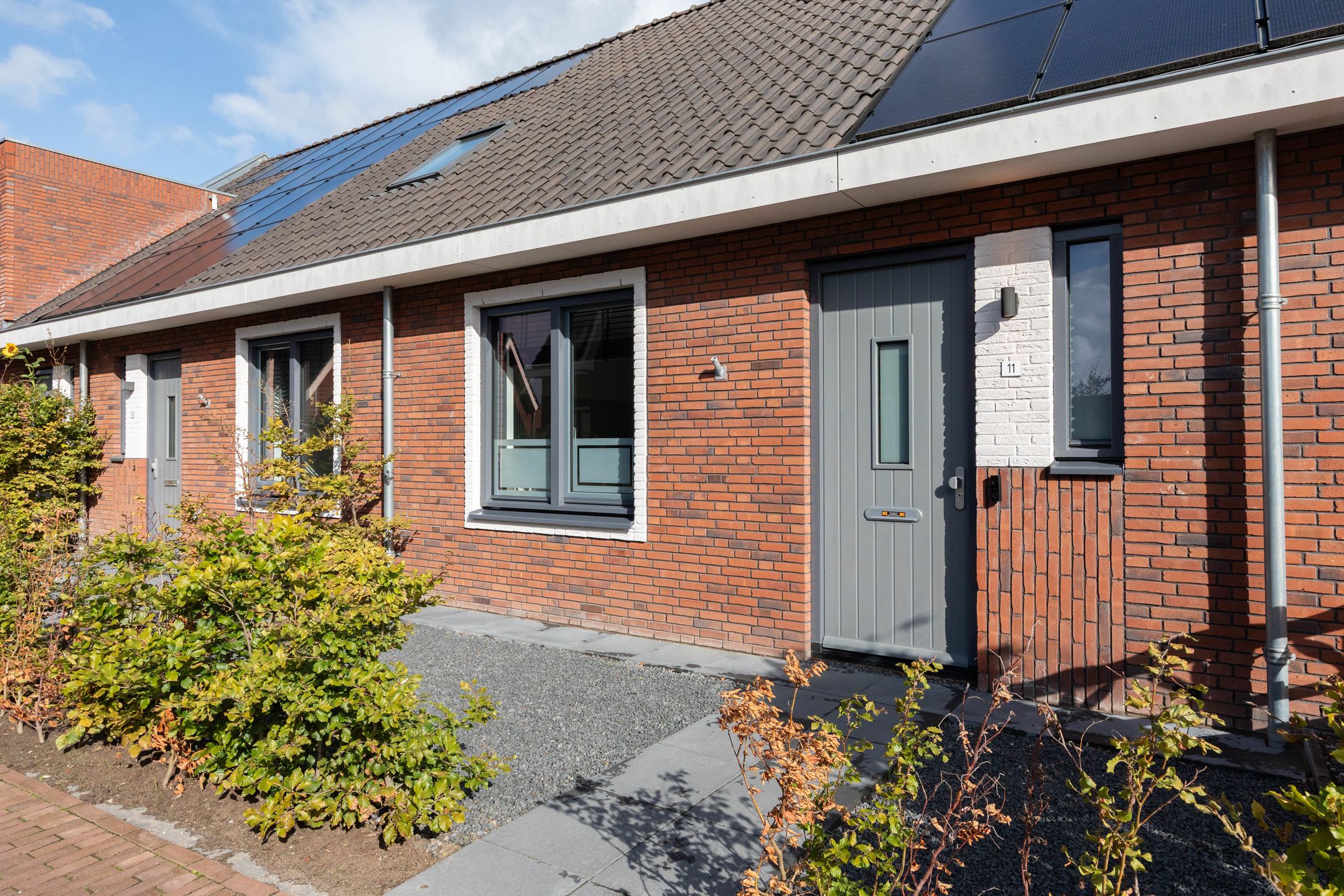 Foto 6 van Lijsterbes 11