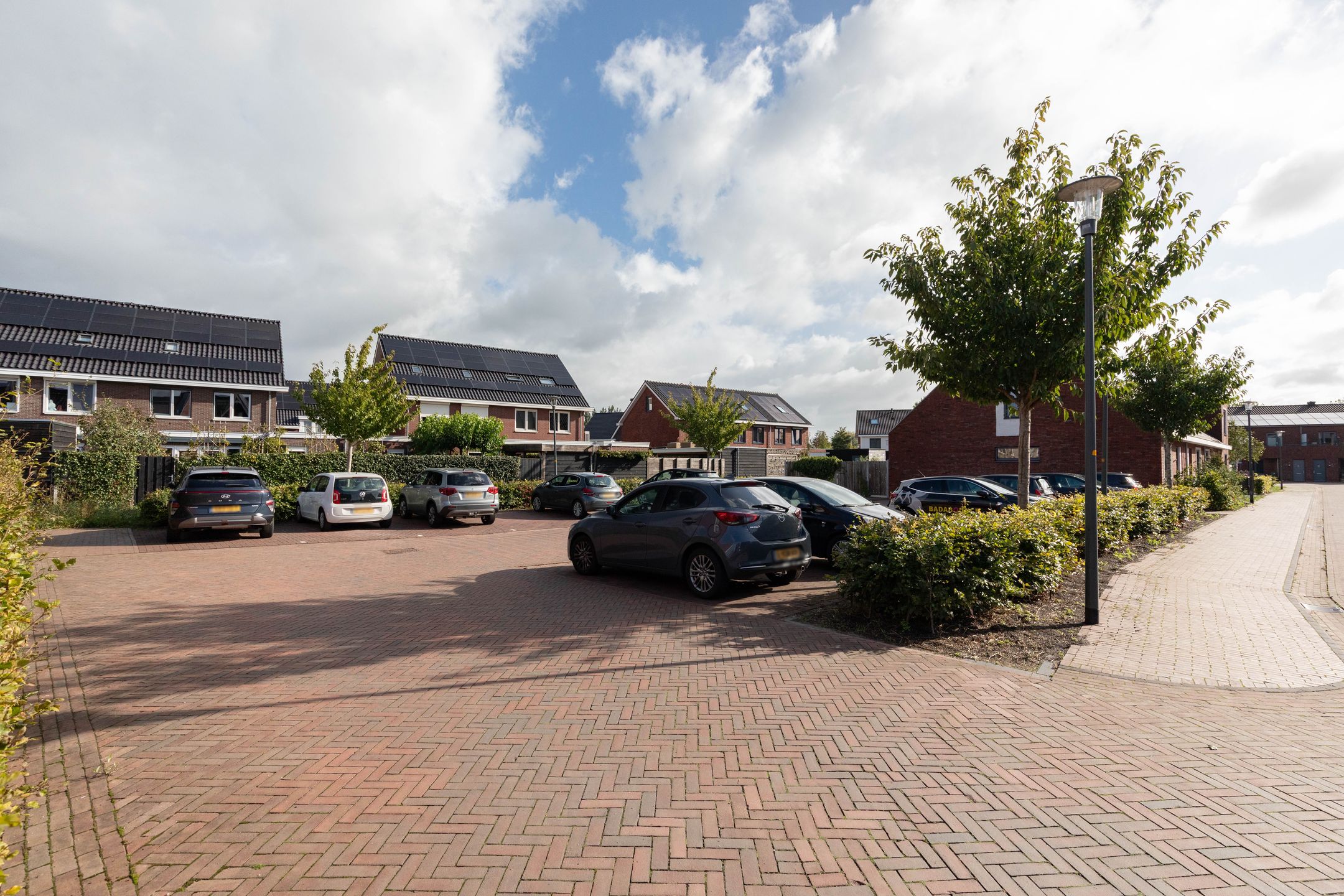 Foto 33 van Lijsterbes 11