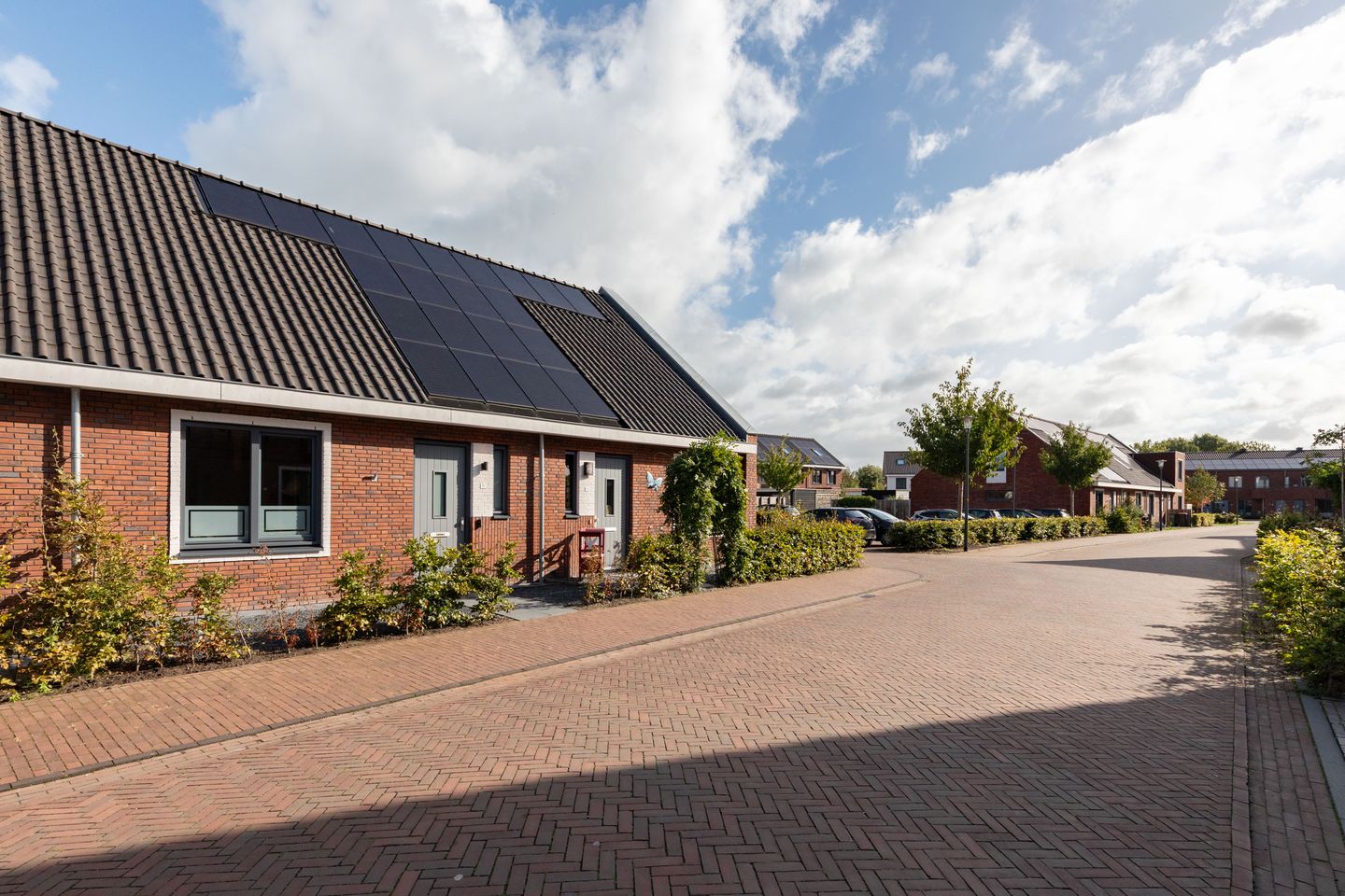 Foto 35 van Lijsterbes 11