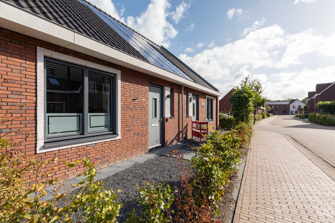 Foto 38 van Lijsterbes 11