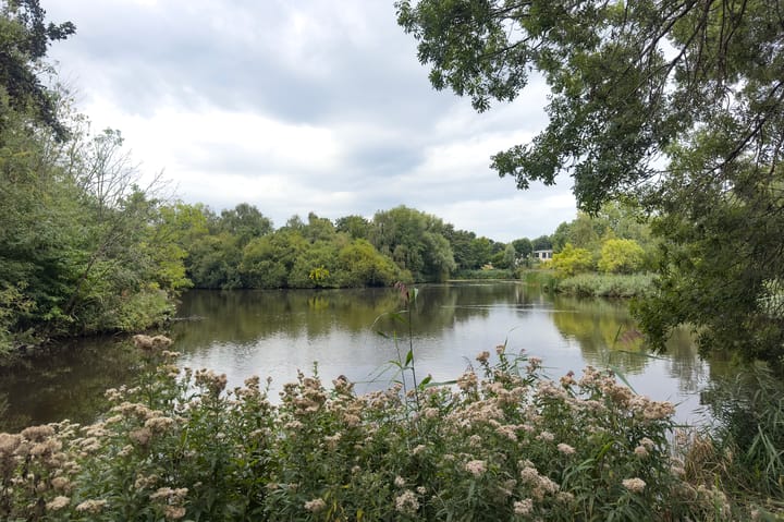 Foto 31 van Marjoleinstraat 83