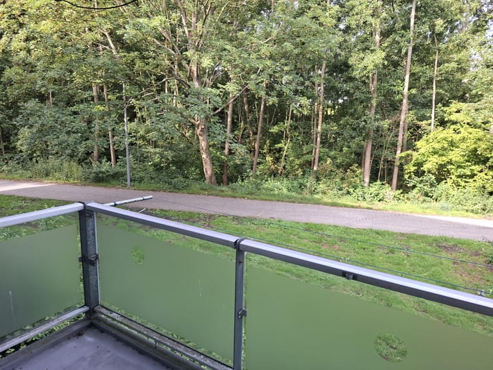 Foto 5 van Arie Salystraat 25