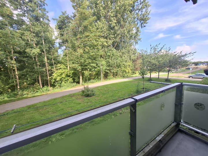 Foto 6 van Arie Salystraat 25