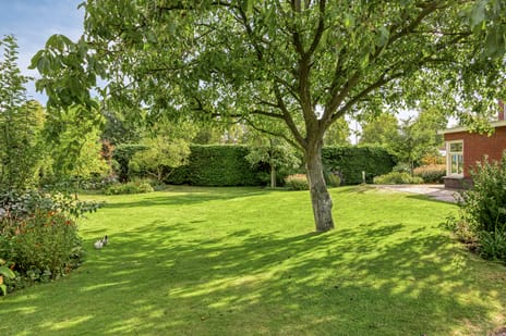 Heescheweg 11 tertiary image