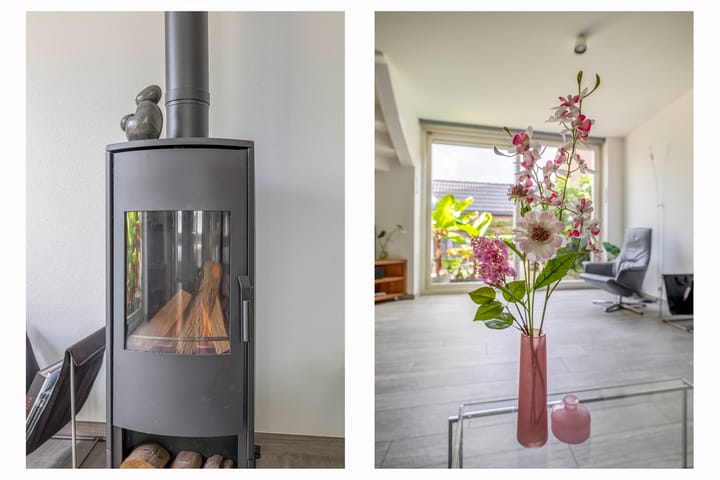 Foto 5 van Grote Beer 24