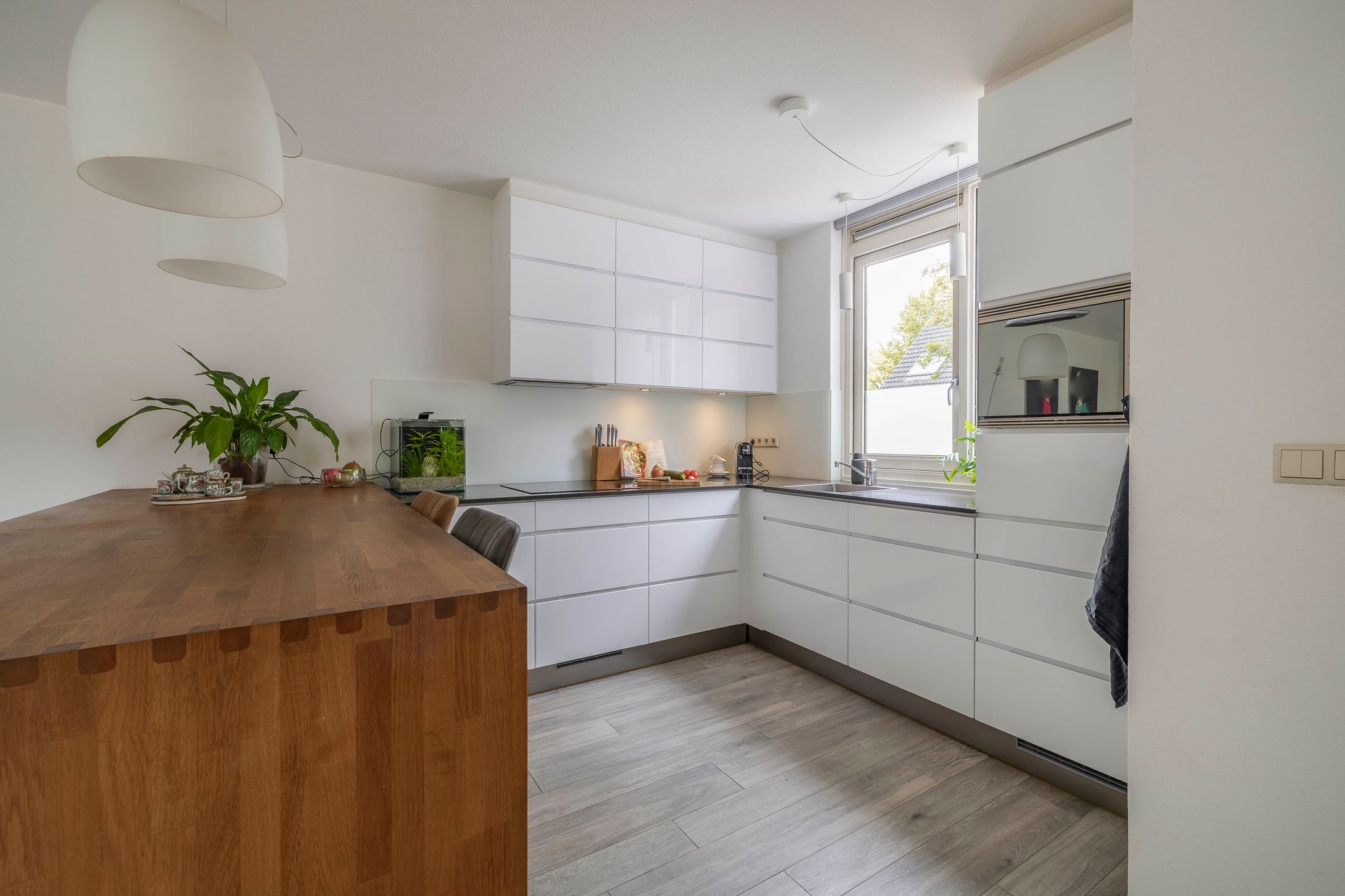 Foto 6 van Grote Beer 24