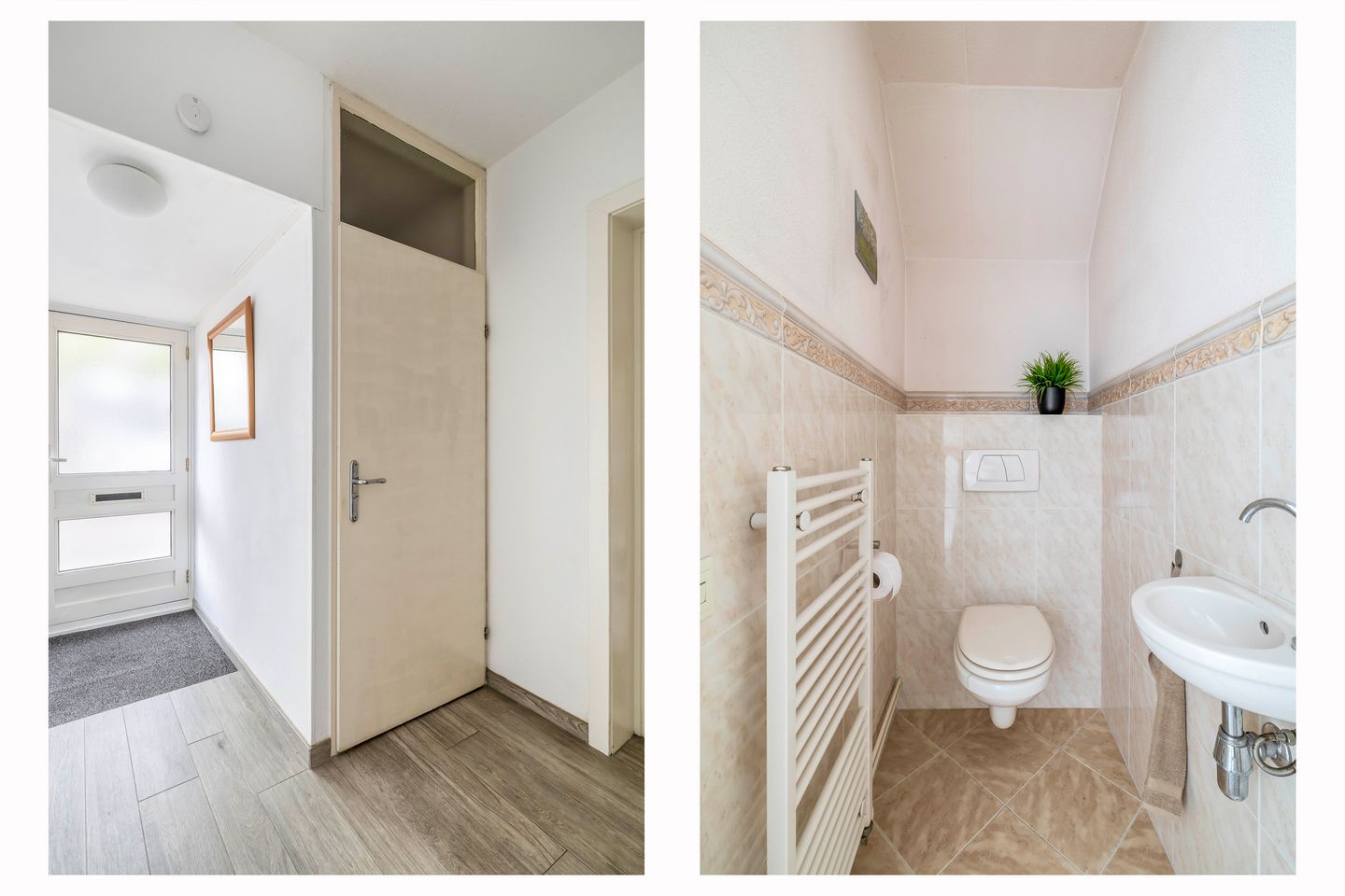 Foto 10 van Grote Beer 24