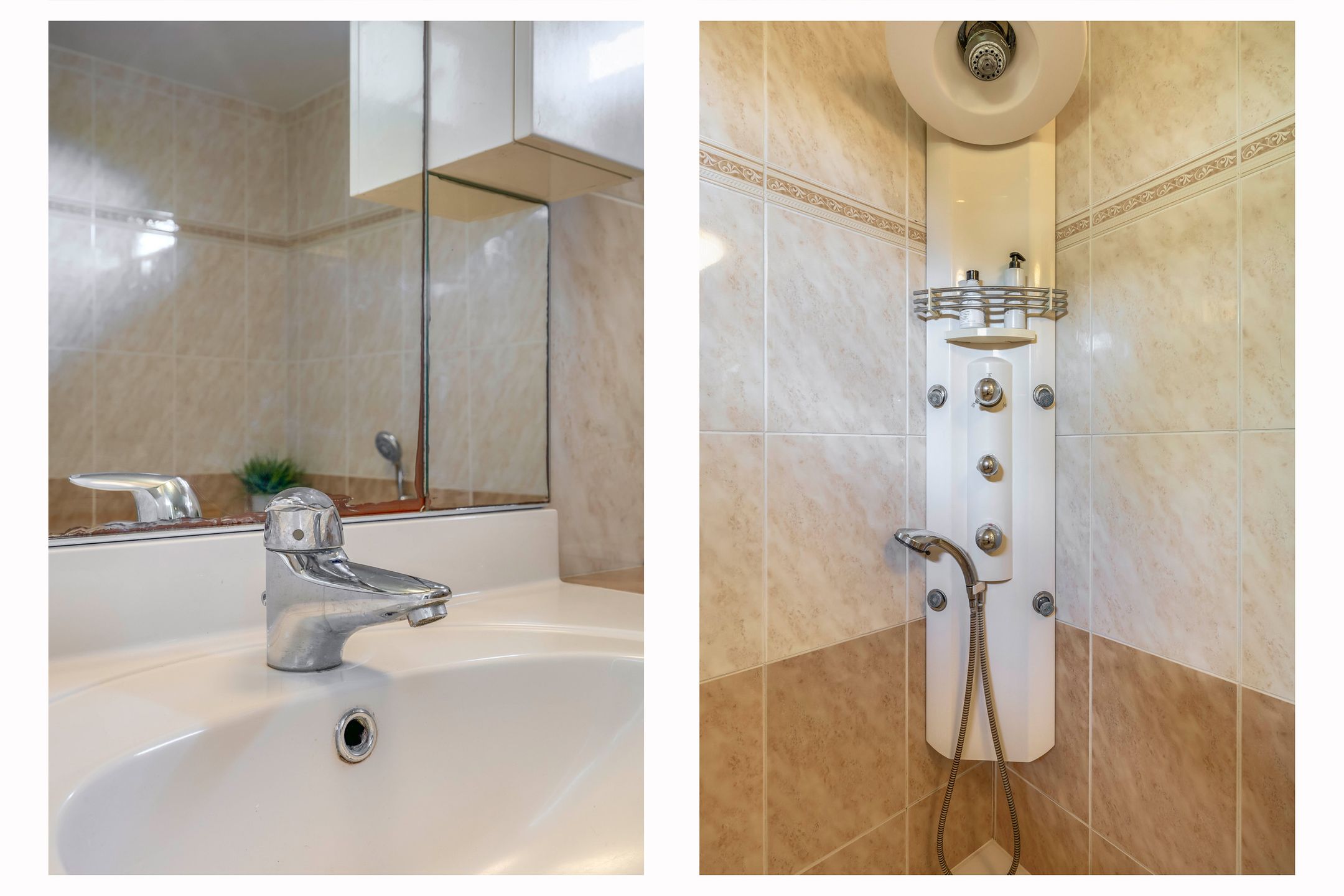 Foto 21 van Grote Beer 24