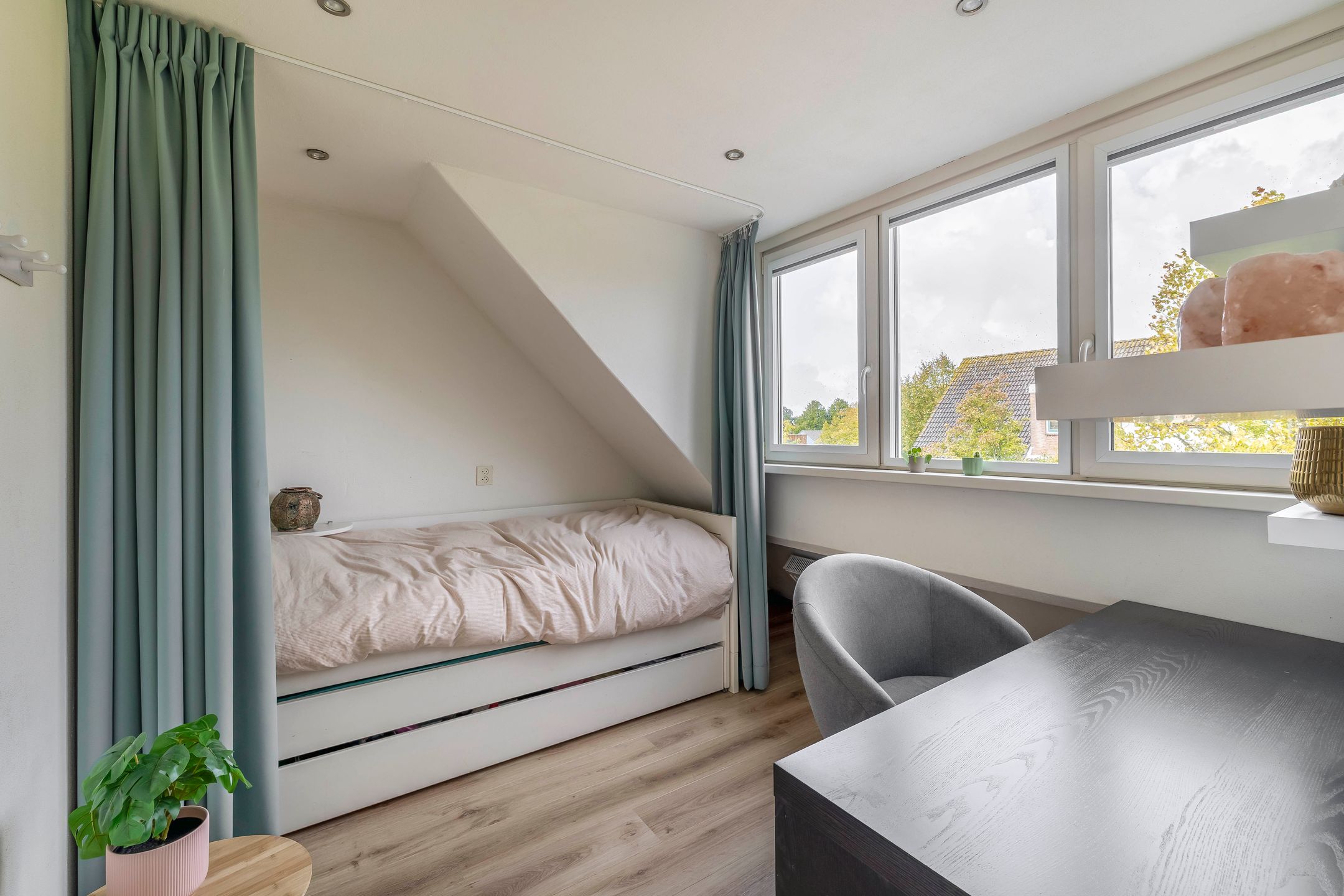 Foto 24 van Grote Beer 24