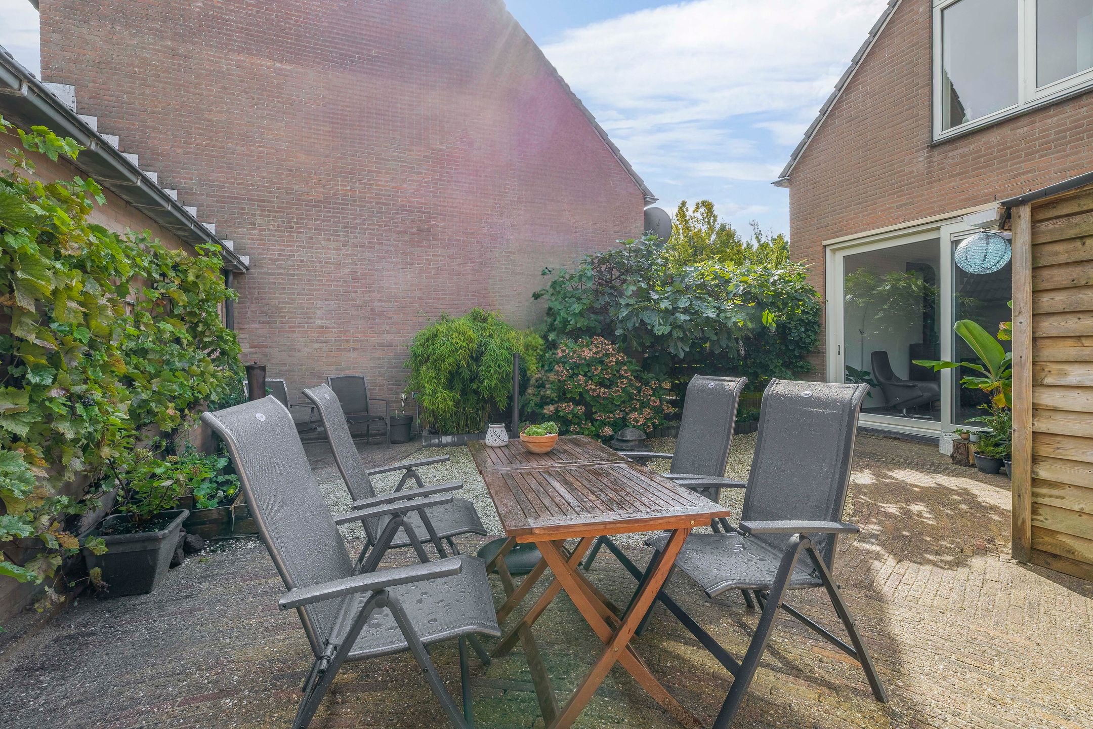 Foto 27 van Grote Beer 24