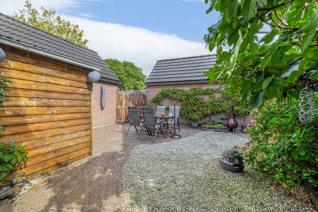 Foto 28 van Grote Beer 24