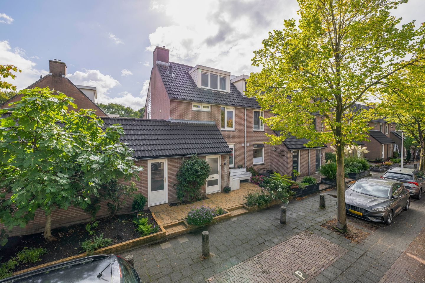 Foto 29 van Grote Beer 24