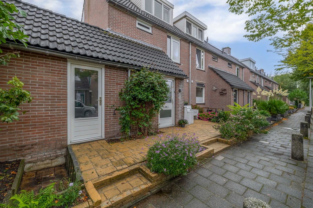 Foto 31 van Grote Beer 24