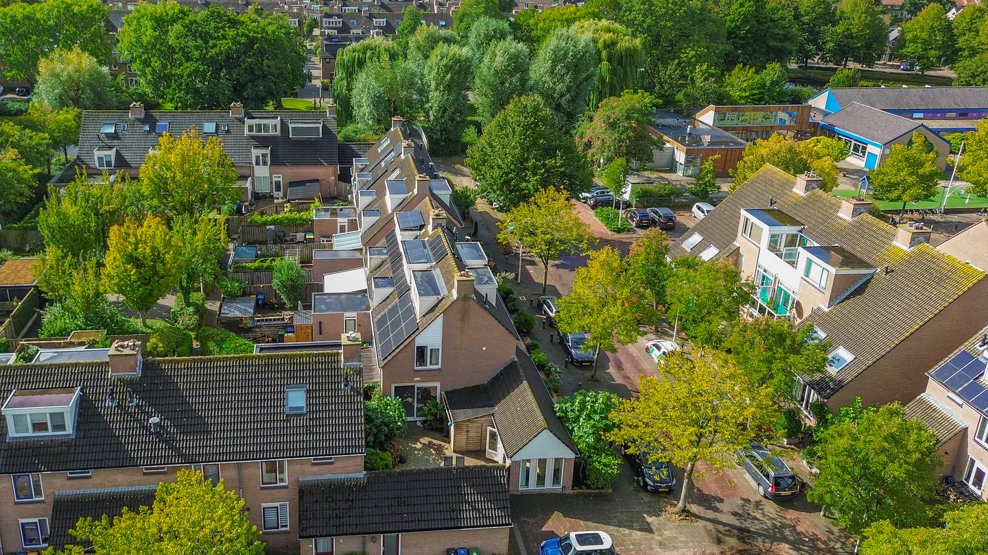 Foto 34 van Grote Beer 24