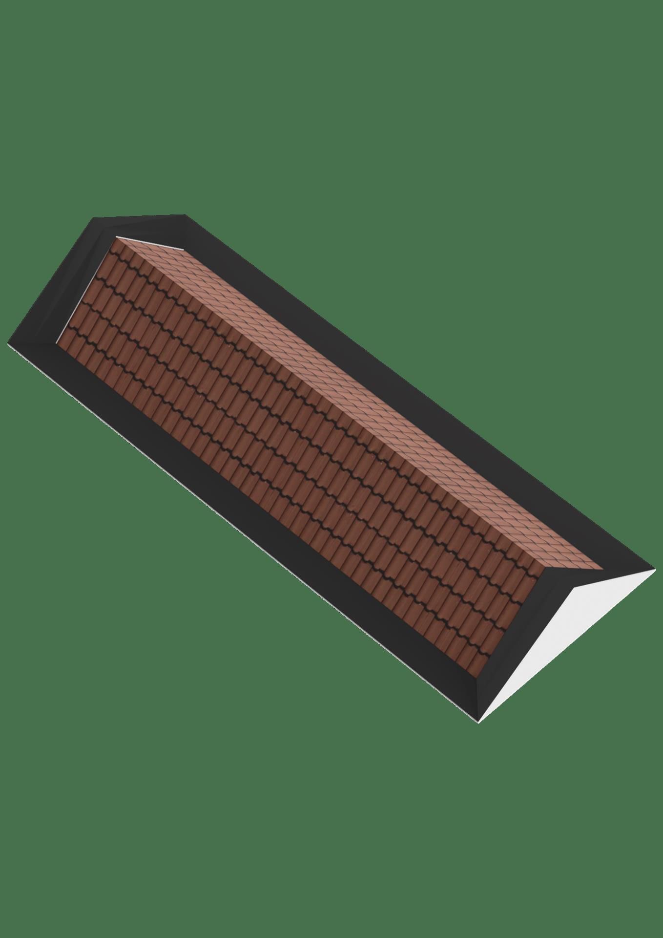 Foto 45 van Grote Beer 24