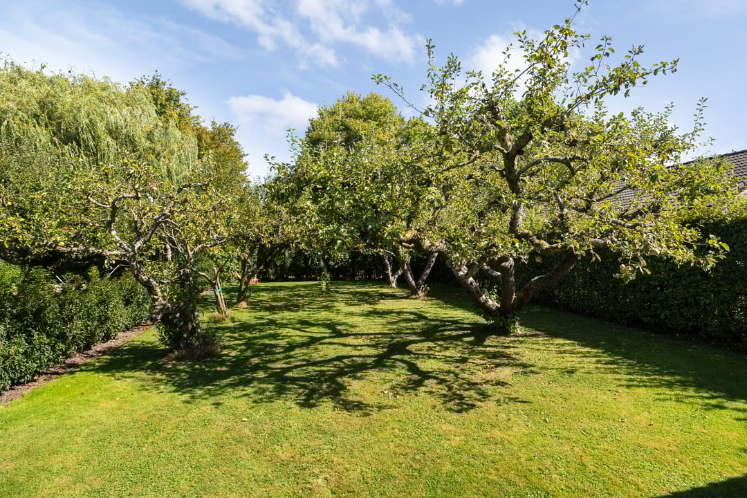 Photo 16 of Van der Valk Boumanlaan 39