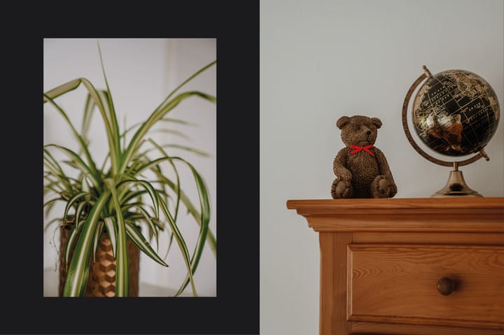 Foto 28 van De Bongerd 26