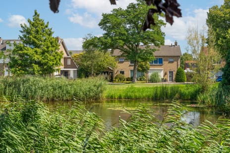 Vijverstraat thumbnail