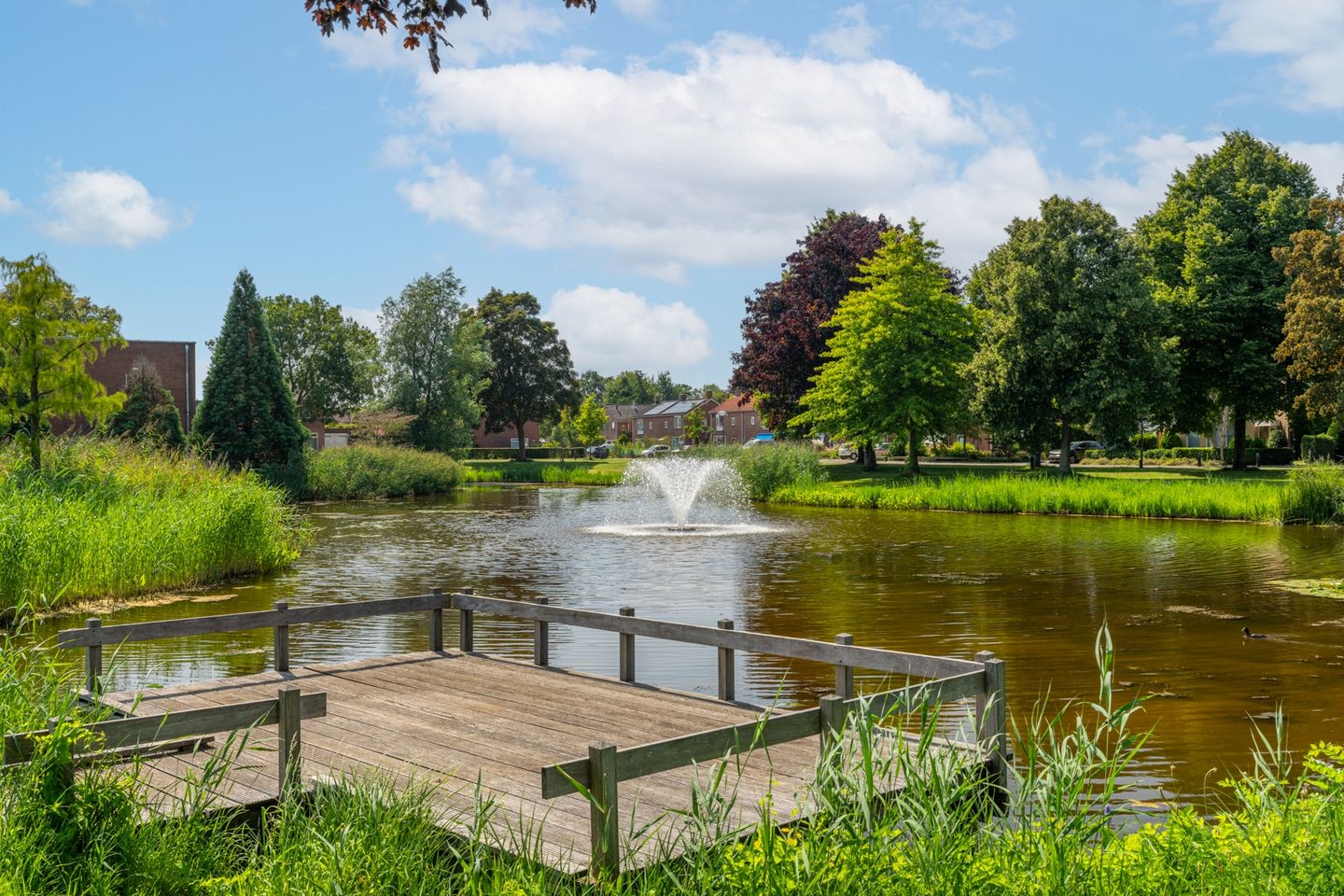 Foto 5 van Vijverstraat 8