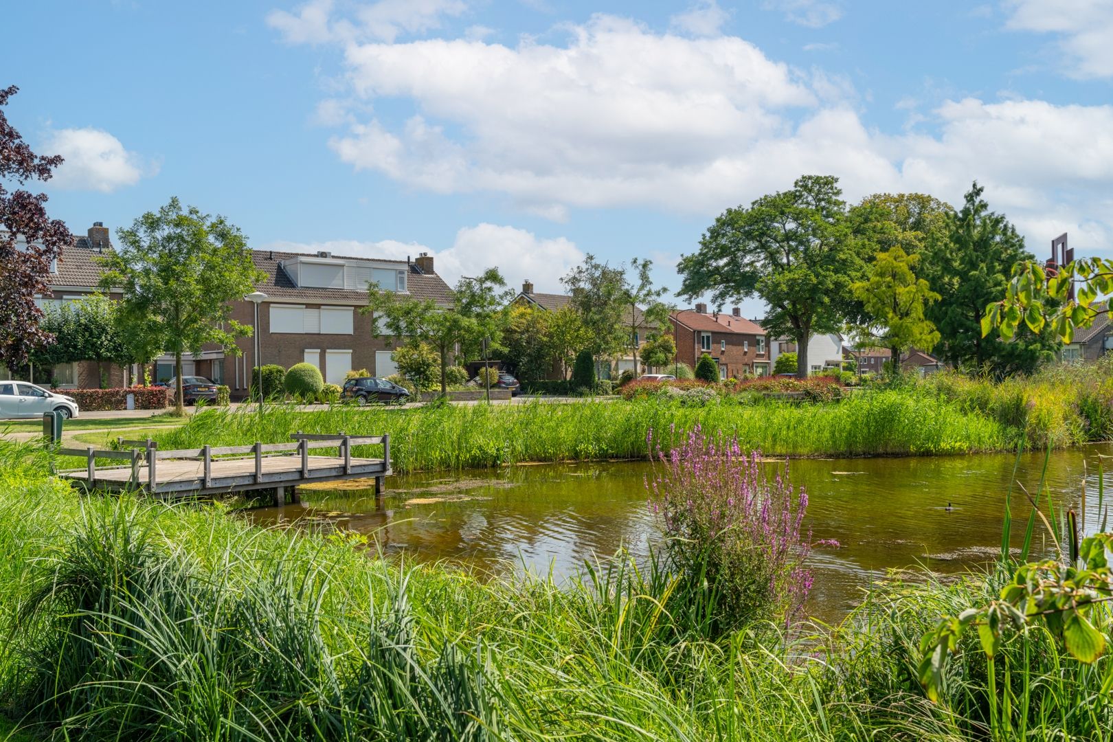 Foto 6 van Vijverstraat 8