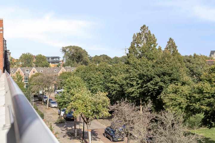 Photo 29 of Nassauplein 11-Y