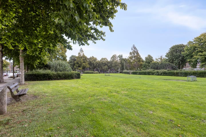 Photo 32 of Nassauplein 11-Y