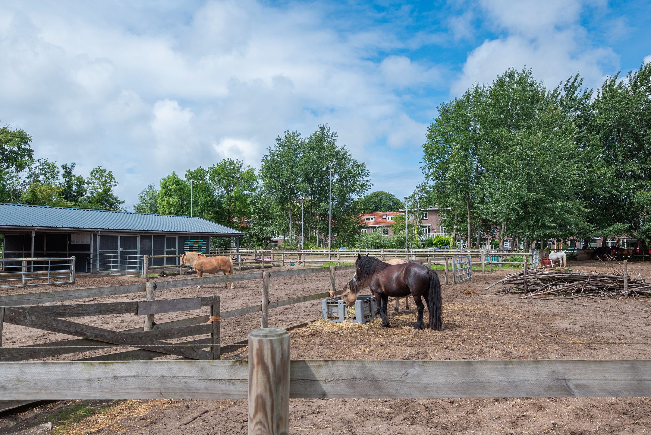 Photo 15 of Prinsessekade 61