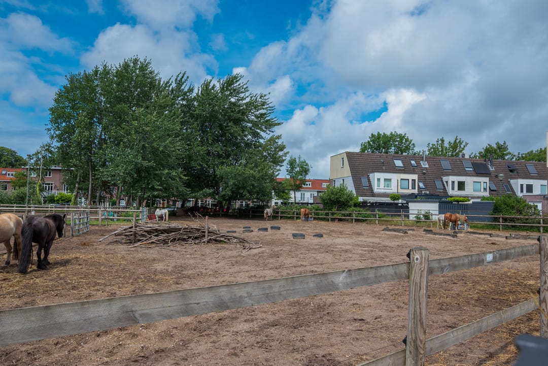 Photo 16 of Prinsessekade 61