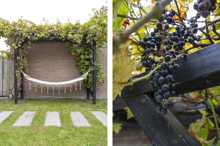 Photo 5 of Horndijk 27