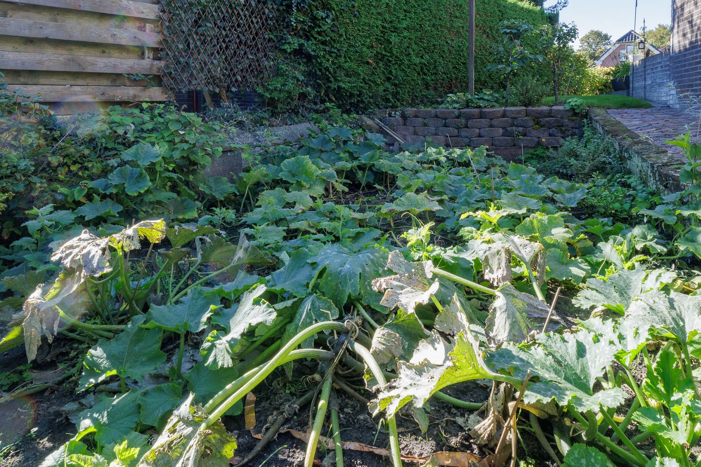 Foto 55 van Zuidlaarderweg 53