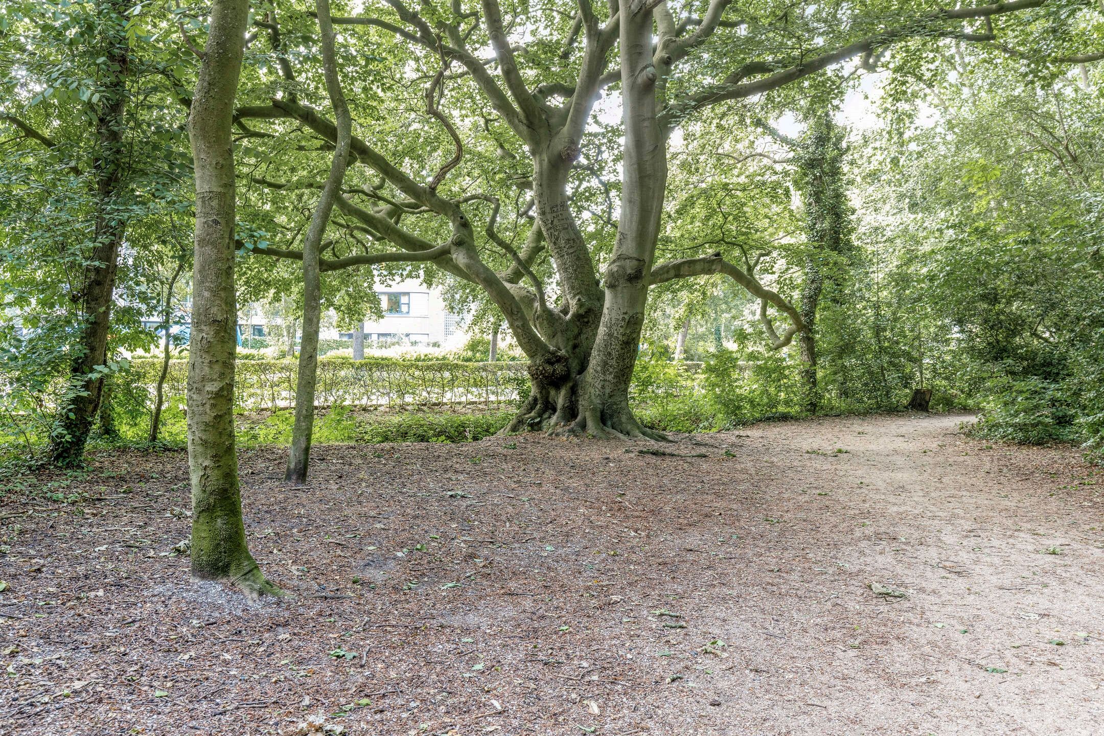 Foto 48 van Duinzichtstraat 3