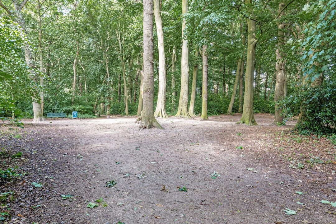 Foto 47 van Duinzichtstraat 3