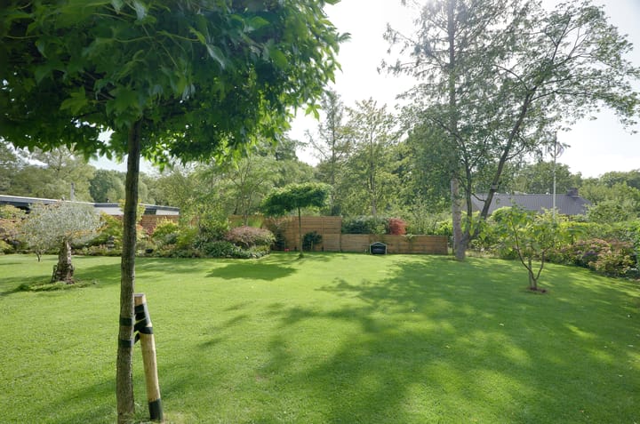 Foto 59 van Platolaan 26