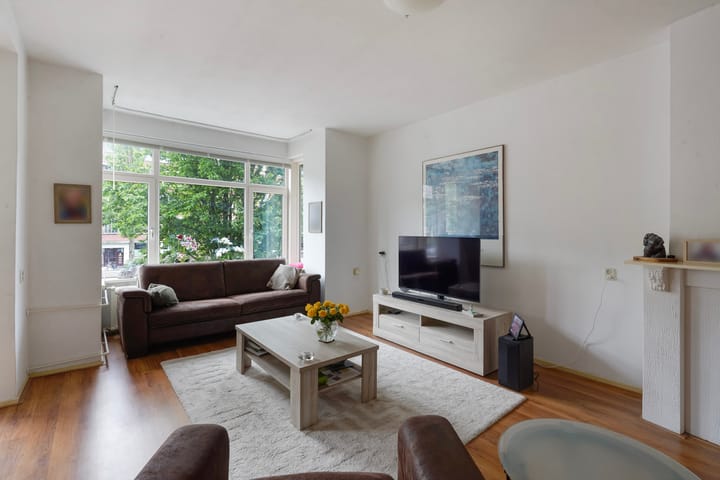 Foto 8 van Laan van Meerdervoort 1533