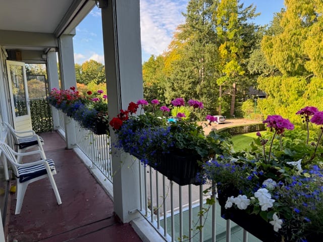 Foto 23 van Beukenhorst 54