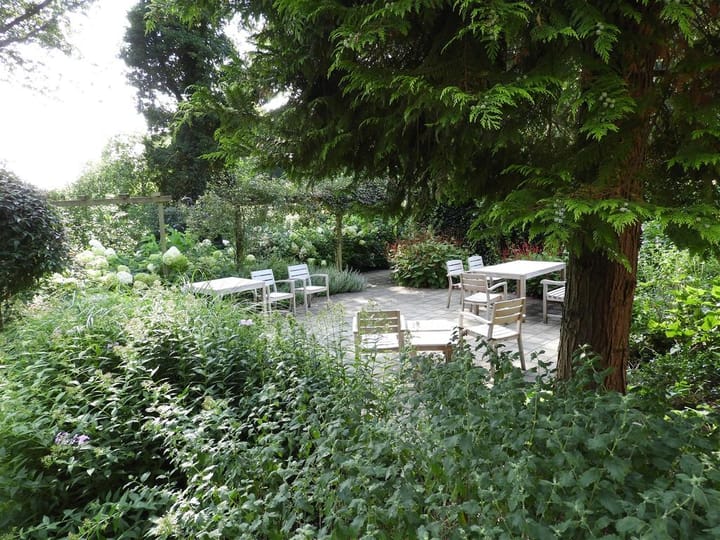 Foto 28 van Beukenhorst 54