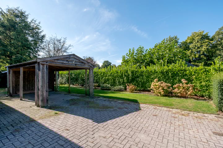 Photo 31 of De Tip 67