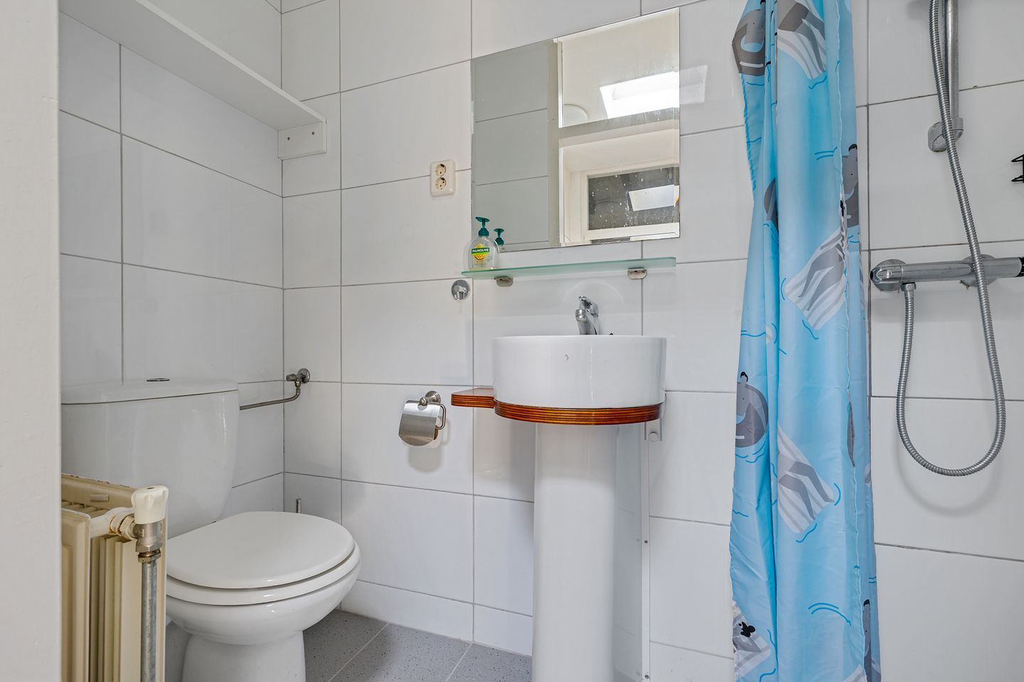 Foto 20 van Ermerzand 87