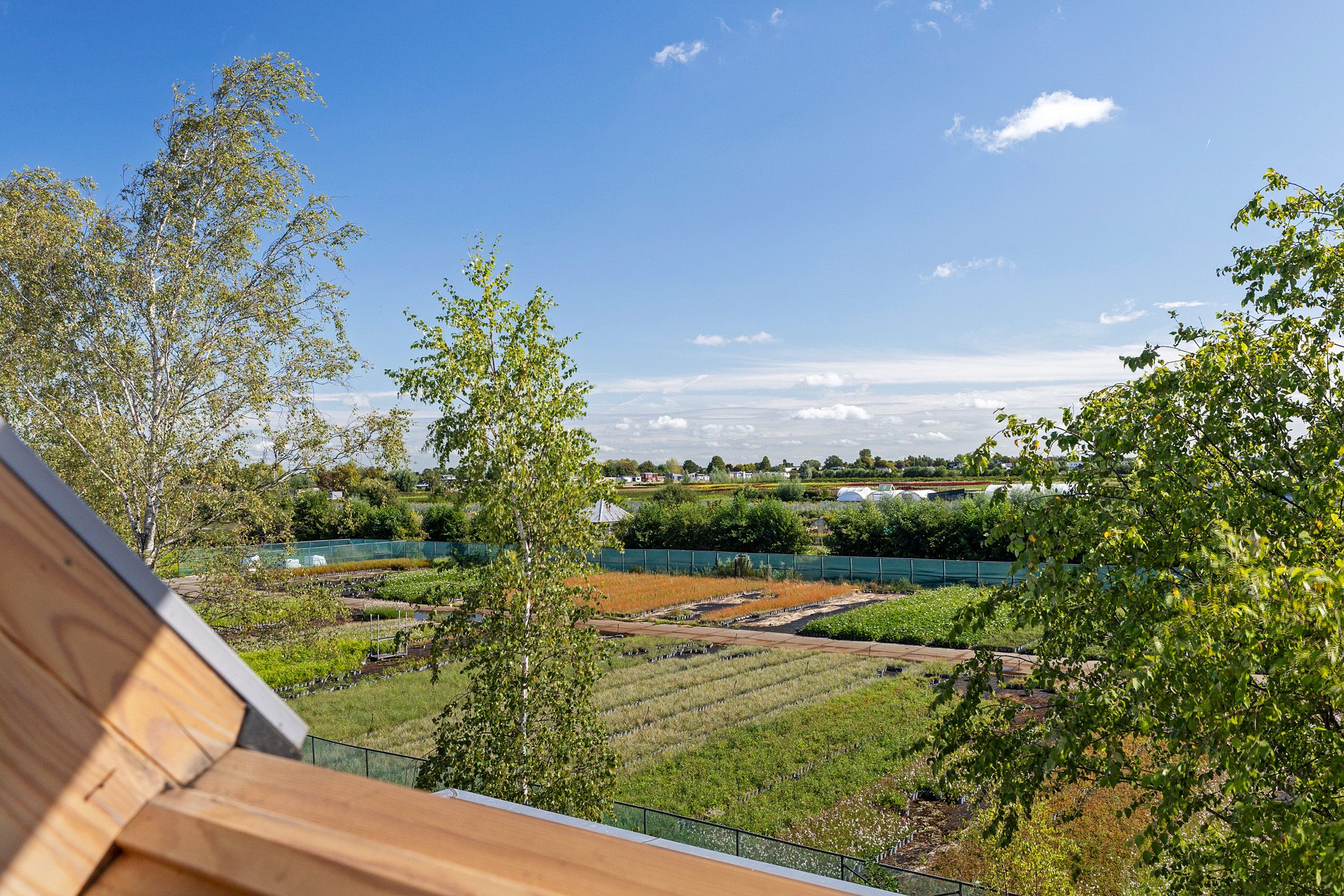 Foto 30 van Berkenweg 27